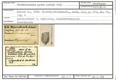Karteikarte zum Holotyp von Frondicularia pyrum Karrer, 1870